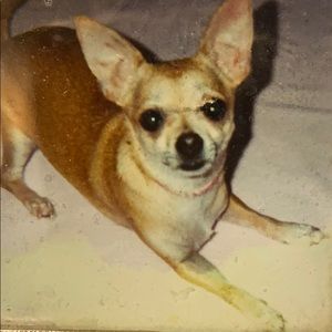 Meet your Posher, Paula